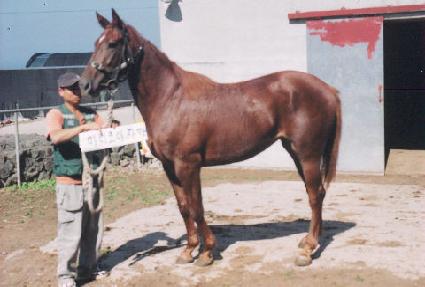 �������� ����