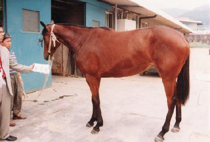 ȣ�� ����