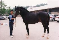 ������ (GADEUKCHAN) ����