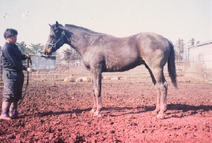 �з��Ͼ����� ����