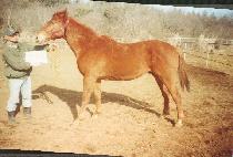 ��¼��� (DAESEUNG SEDAE) ����