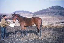 ������� (USEUNG CHUKJE) ����