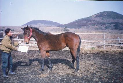 ������� ����