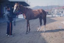 �ٶ���ġ (BARAMGACHI) ����