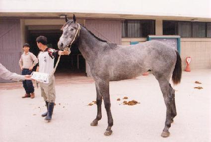 �Ź�� ����