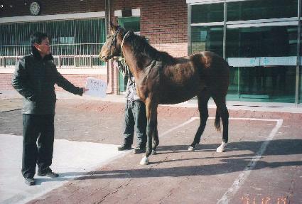 ���� ����