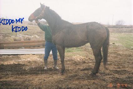 Ű���츶��Ű���� ����