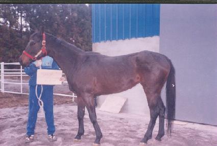 ����ڹ� ����