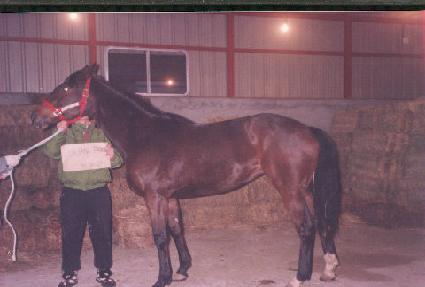 ���糪������ ����