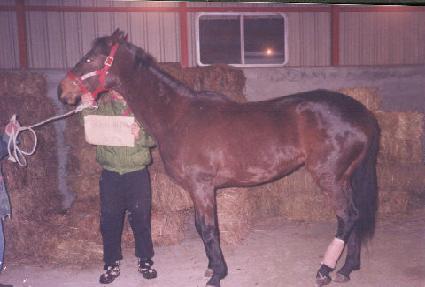 ��Ʈ���� ����