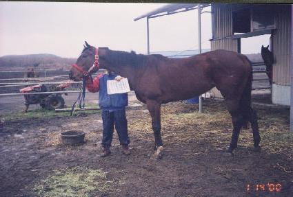 �������Ŭ���� ����