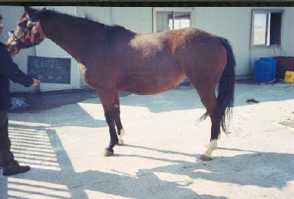 Ű�� ����