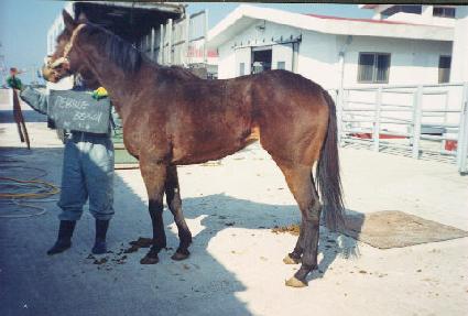 �����ġ ����