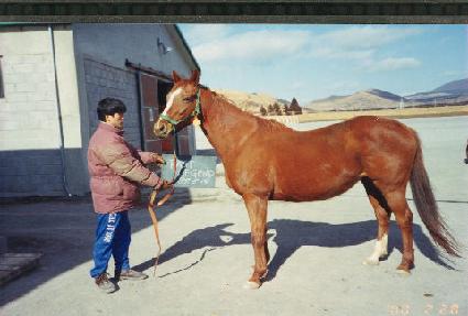 �н�Ʈ������ ����