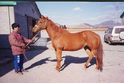 �ö��׿�� ����