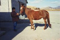 ������̽� (MOM��S ICING) ����