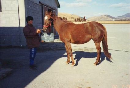 ������̽� ����