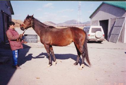 ������轼 ����