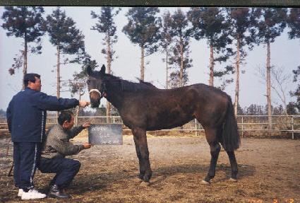 �ٺ�� ����