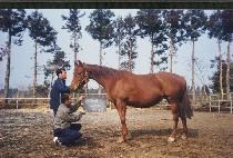 �����÷� (FRESH LOOK) ����