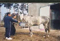 ���̸����ͳͽ� (HIGH MAINTAINANCE) ����