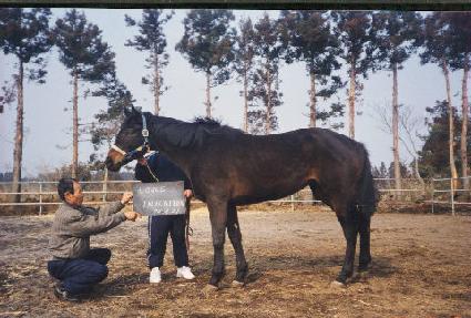 ���꽺���ټ� ����