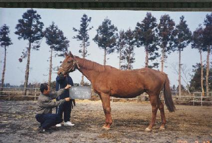 �̴ϴ� ����