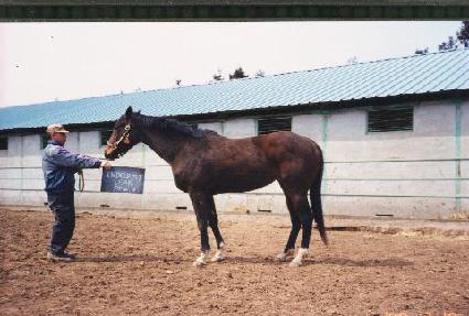 �ε�帶�̵�� ����