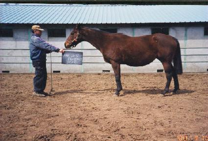 ��Ƽ��������Ʈ ����