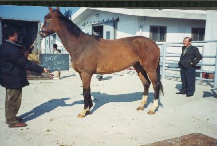 ����Ʈ�� ����