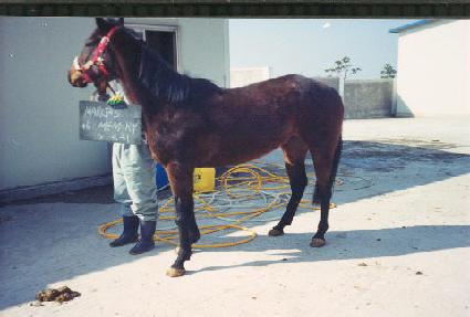 �����þ���޸� ����