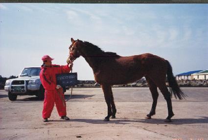 ���̷�Ʈ����Ʈ ����