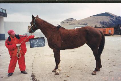 �����Ƴ� ����