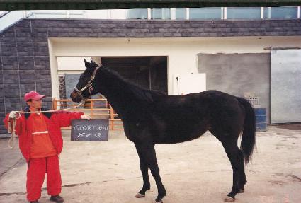 �۷θ���� ����