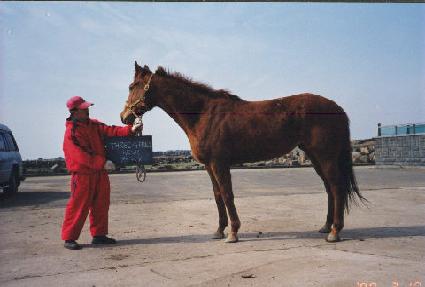 ������������ ����