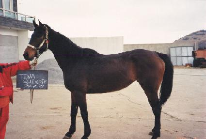 Ƽ������Ʈ ����