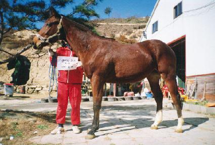 ������ ����