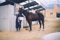 ������ (ONE DAY) ����