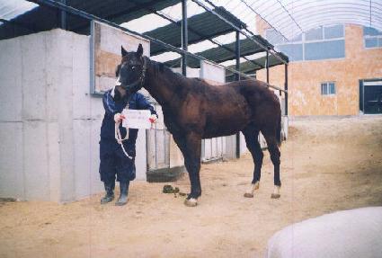 ������ ����