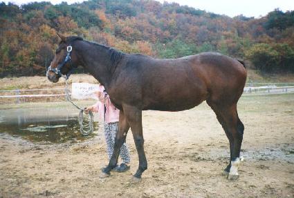 ����ȣ�� ����