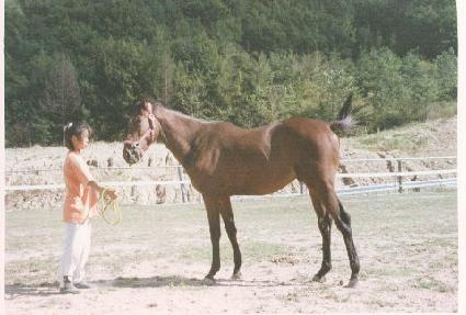 ��Ʈ�� ����