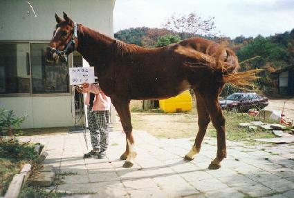 �����ȭ ����