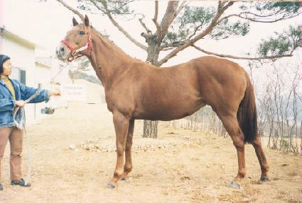 ������ũ�� ����