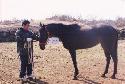 ���˸� ����