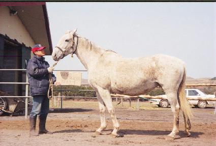 ���̵����� ����