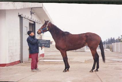 Ű��Խ� ����