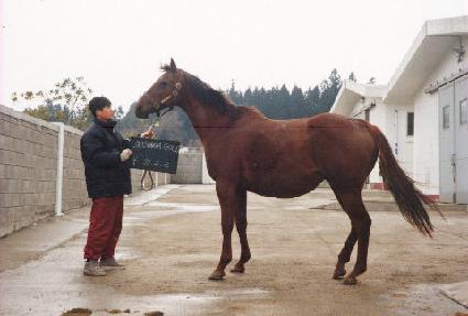 �������ֳ���� ����