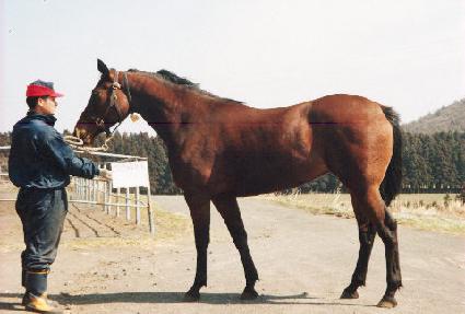 �̽��� ����