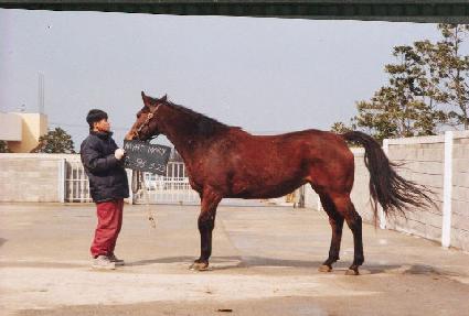 ����Ʈ�޸� ����