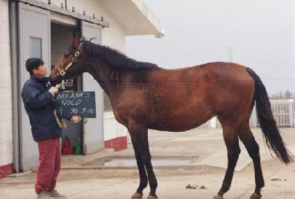 ������� ����